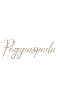 poggiospada_swimwear beach luxury swimwear spiaggia Sticker