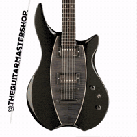 theguitarmaster guitar germany master westland GIF