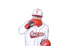 Cofcbaseball Sticker by #TheCollege