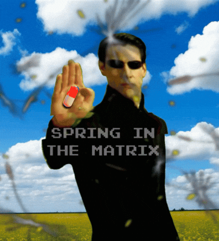 Pop Art GIF by Xinanimodelacra