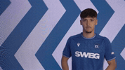 2 Bundesliga Goal GIF by Karlsruher SC