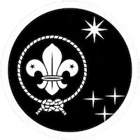 Cruzdelsur Asdecyl Sticker by ASDE - Exploradores de Castilla y León