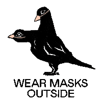 Pigeon Masks Sticker by Virtue Worldwide
