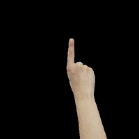 Studiocooliejoelie strudiocooliejoelie GIF