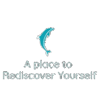 Dolphinsuitescuracao curacao rediscover tropicalgetaway dolphinsuites Sticker