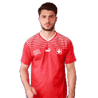 Link Switzerland Sticker by Swiss Football Association