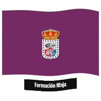 Flag Spain Sticker by Formación Ninja
