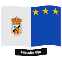 Castilla Y Leon Flag Sticker by Formación Ninja
