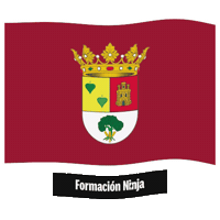 Castilla Y Leon Flag Sticker by Formación Ninja