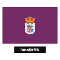 Flag Spain Sticker by Formación Ninja