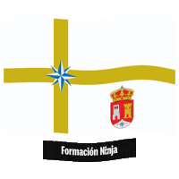 Castilla Y Leon Flag Sticker by Formación Ninja