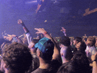 Van Buren Crowd GIF