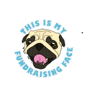 pugrescueaustin pug pugs fundraising fundraiser Sticker