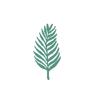amasonia plant leaf tropical hoja Sticker
