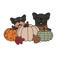 French Bulldog Ffb Sticker by frenchiefriendsbrand