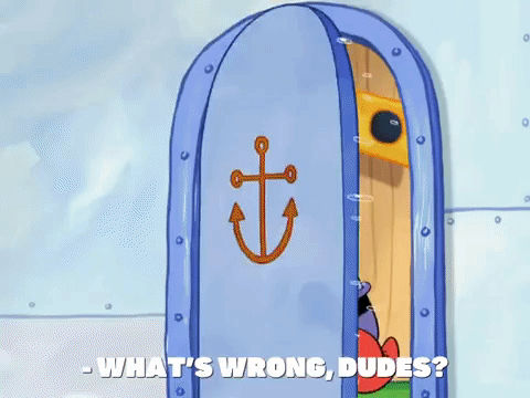 season 8 GIF by SpongeBob SquarePants