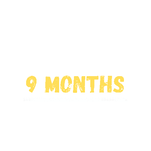 Newsletter 9 Months Sticker by Digital Pratik