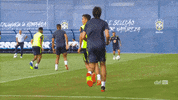 selecao brasileira jesus GIF by Confederação Brasileira de Futebol