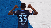 Bundesliga Berlin GIF by Hertha BSC