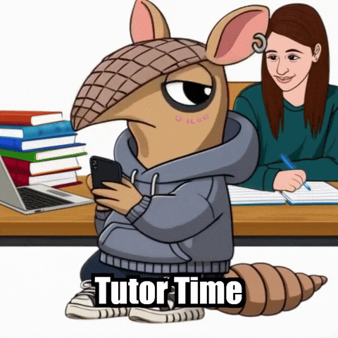 Homework Armadillo GIF by Chillo Dillo