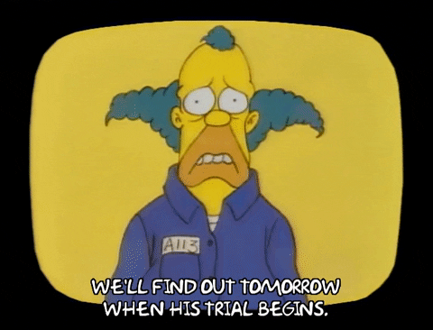 Season 1 GIF by The Simpsons