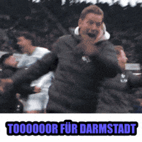 Sv Darmstadt 98 GIF