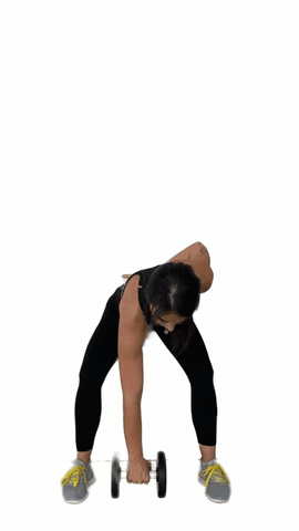 Workout Working Out GIF by Stretchwell