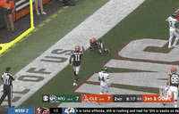 Cleveland Browns Football GIF by NFL