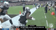 Las Vegas Raiders Football GIF by NFL