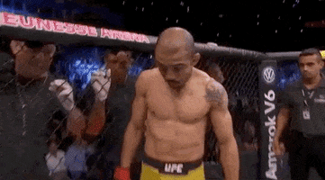 ufc sports sport ufc mma GIF