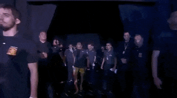 ufc sports sport ufc mma GIF