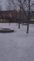 Spring Snow Blankets Ground in Toronto