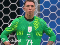 Fifa World Cup GIF by DODO Social