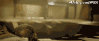 serious wgn america GIF by Underground