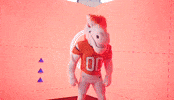 Football Nfl GIF by Broncos