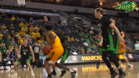 Wilson Bison GIF by NDSU Athletics