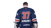 Hockey Sticker by Fehervar AV19