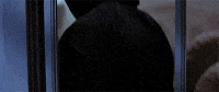 scream GIF