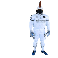 Gallardo Gallos Sticker by Club Querétaro