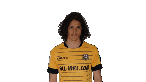 Swipe Celebrate Sticker by SG Dynamo Dresden