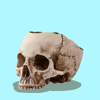 Pop-Up Surprise GIF by Percolate Galactic