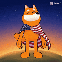United States Flag Cape GIF by BONK