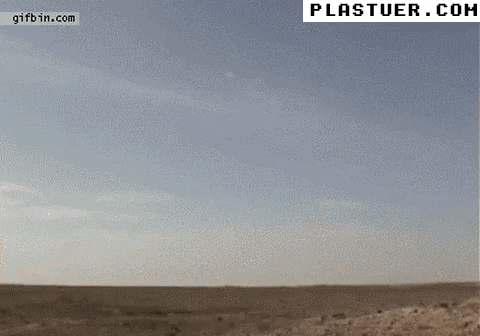 giphyupload GIF