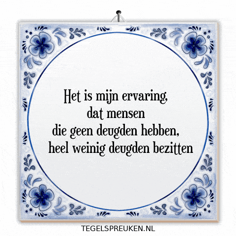 Wijsheid Reflectie GIF by Tegelspreuken.nl