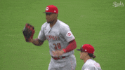 Major League Baseball Win GIF by Cincinnati Reds
