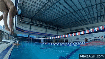 skillsnt giphyupload GIF