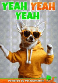 So Excited Happy Dance GIF by PetJuvenate - PJ