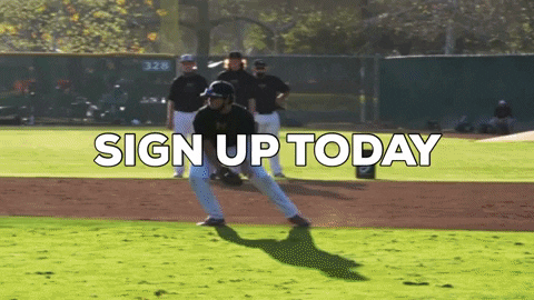 raymcintire giphygifmaker baseball camp GIF