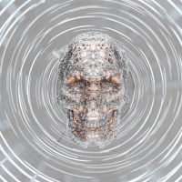 3d skull GIF by robob3ar