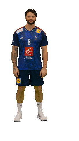 Ffhandball Sticker by Fédération Française de Handball